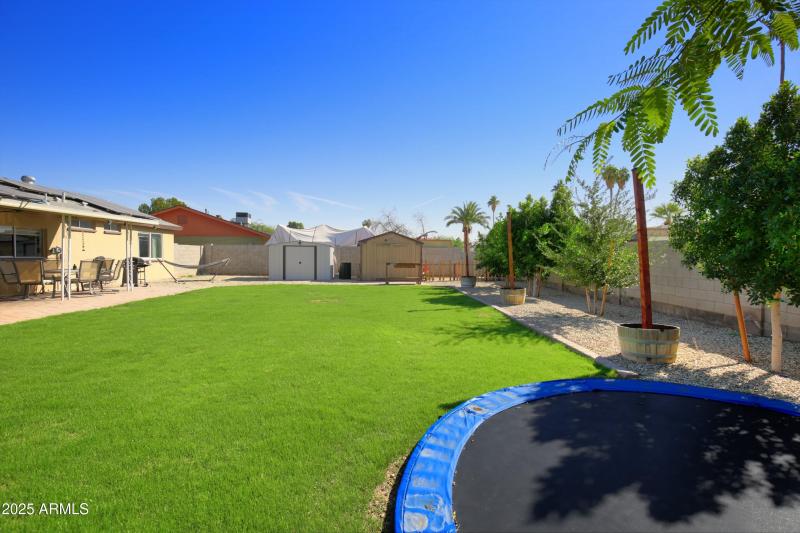 Backard Trampoline & Grass
