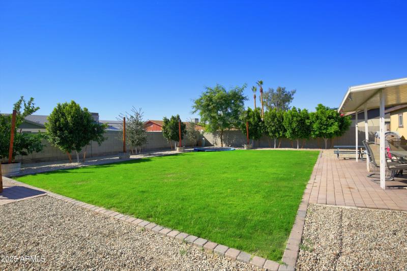 Beautiful Grassy Yard