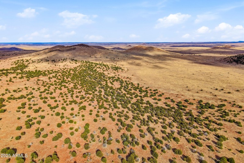 CheneyLake-GreerAZ-1