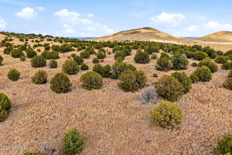 CheneyLake-GreerAZ-15