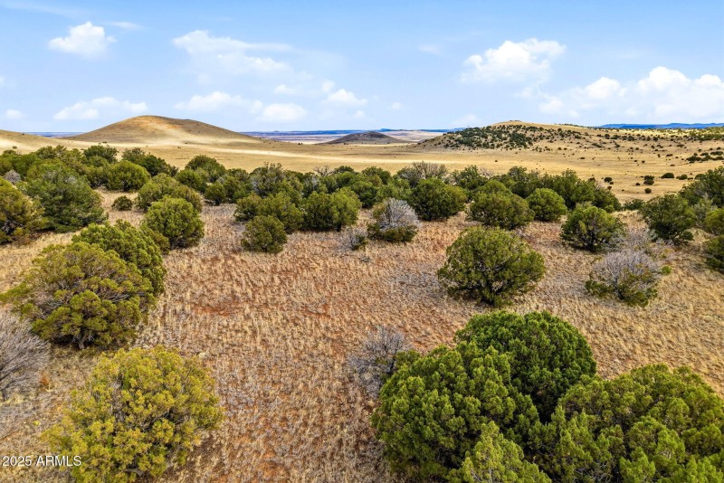 CheneyLake-GreerAZ-16