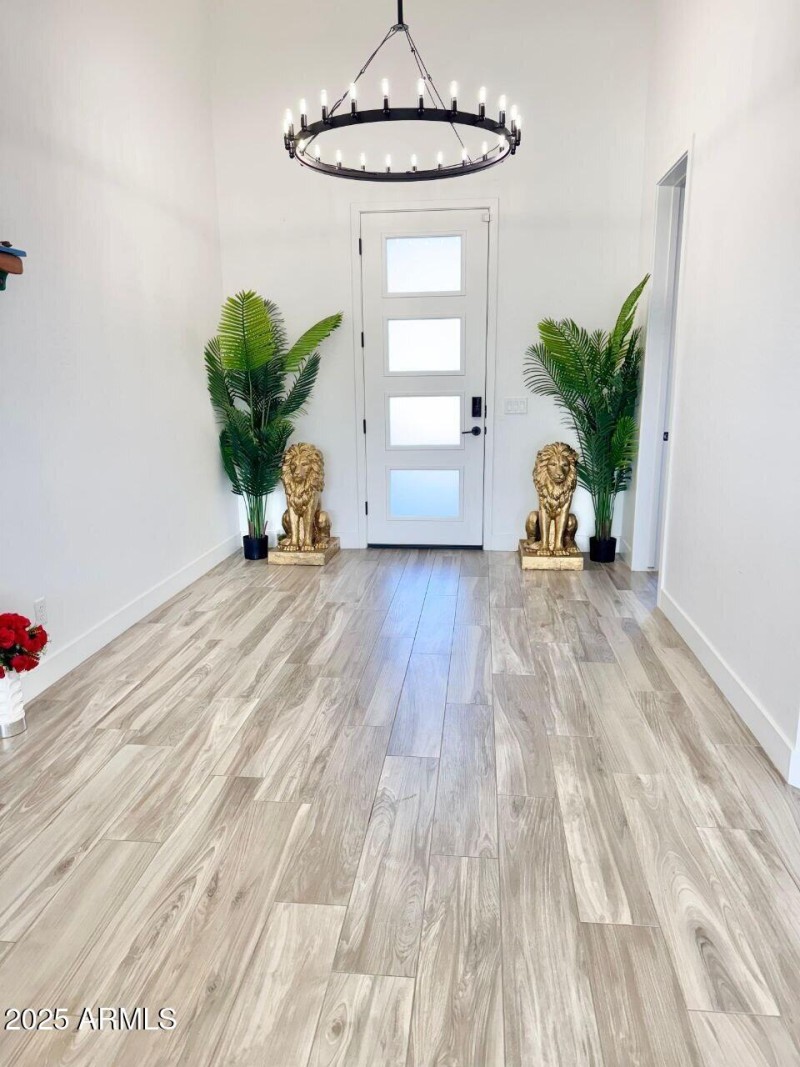 IMAGE 2025-11-20 19:20:59