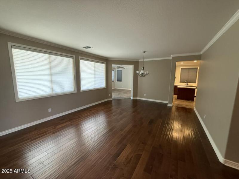 B9DA8391-2803-4FD7-BEEA-C865C31A7367_1_1