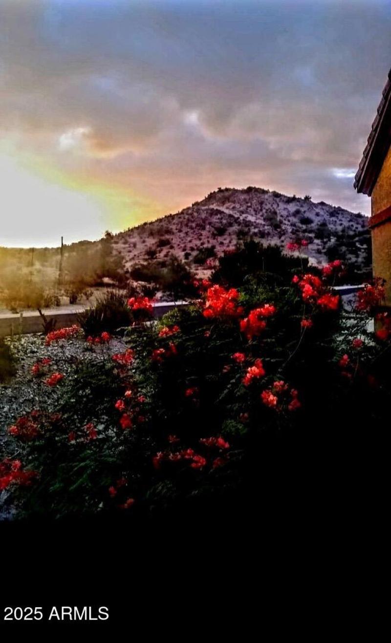 Striking Arizona Landscape!