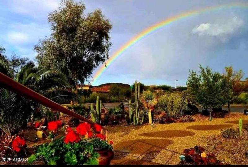 The Beauty of a Majestic