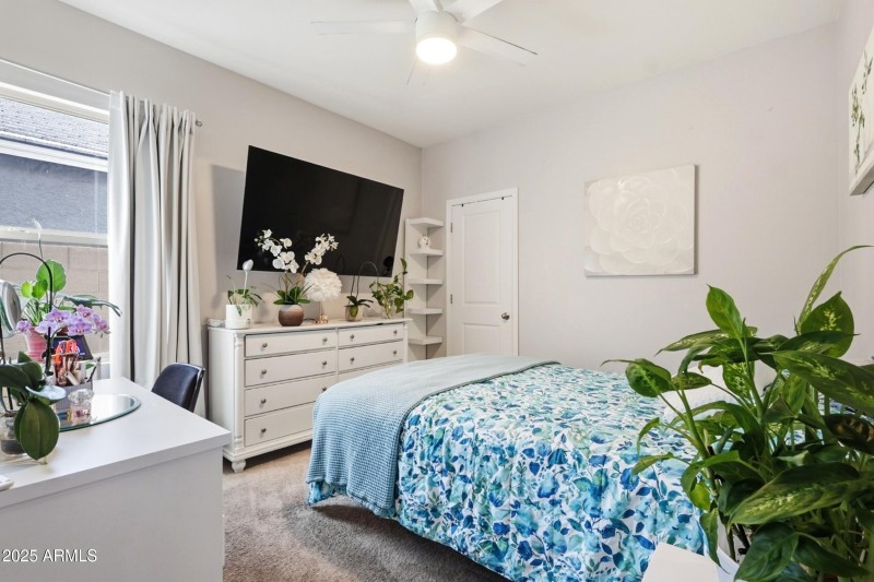 17_photo nov 17 2025, 11 11 21 am (1)