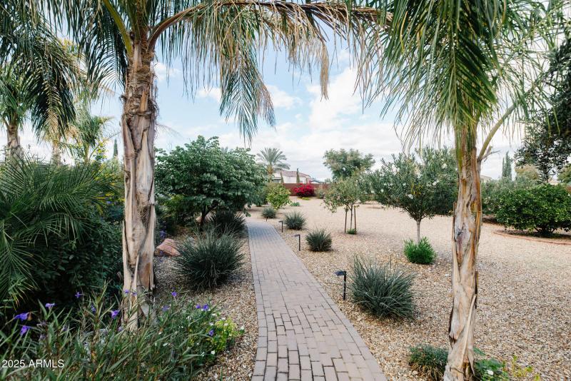 Pavered Paths in Backyard