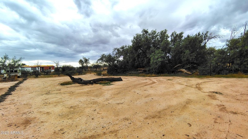 IMG_20251118_131949534_HDR