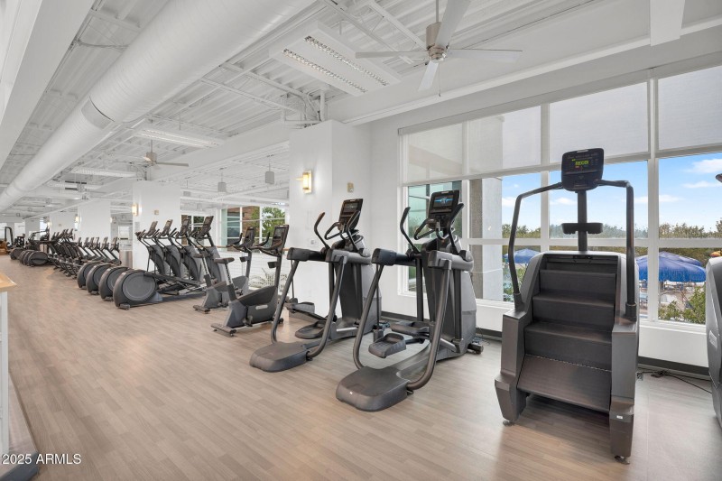 52-web-or-mls-DSC06096