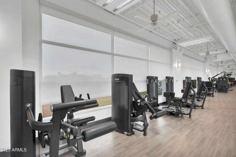 53-web-or-mls-DSC06101