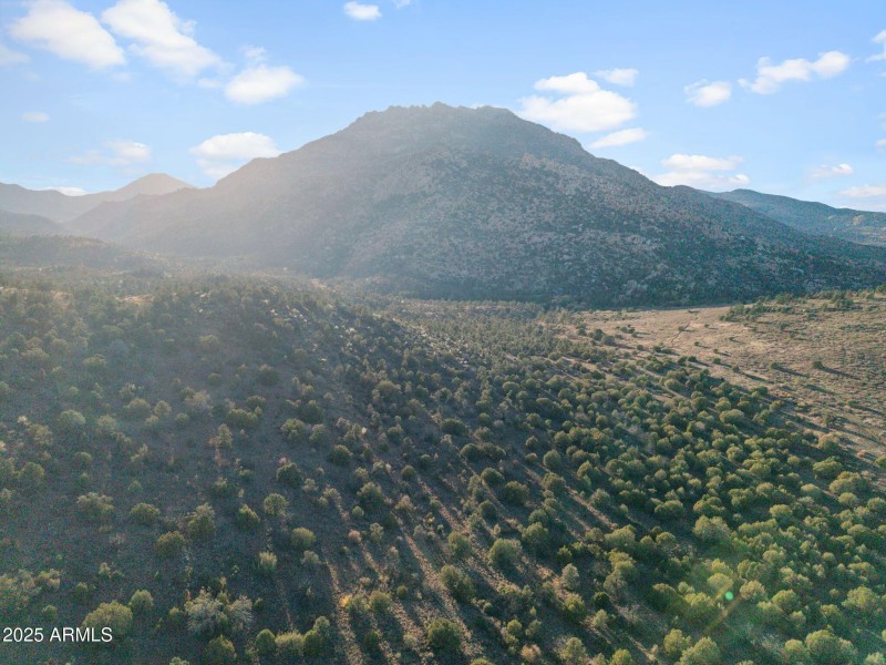 DJI_20251113161440_0027_D