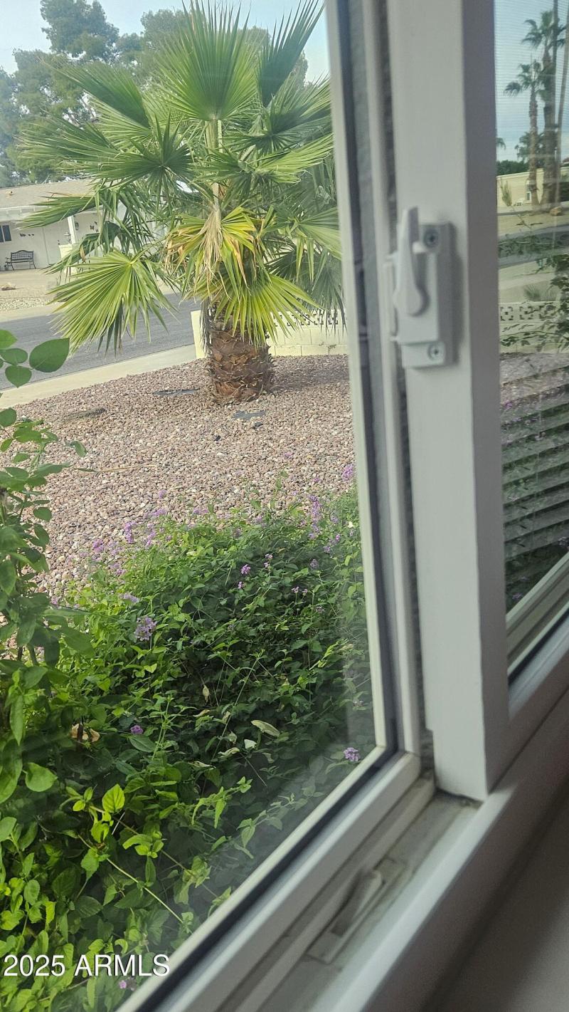 Thermal Pane Windows, Front & thru out!