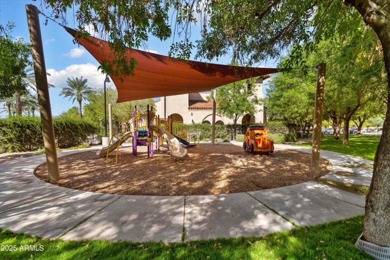 39-Sun City Festival - Sage (4)