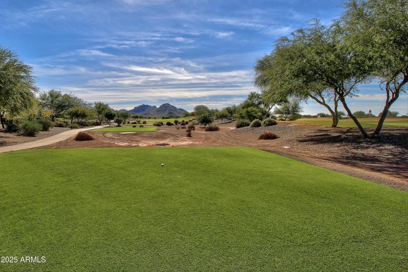 76-Sun City Festival - Sage (41)