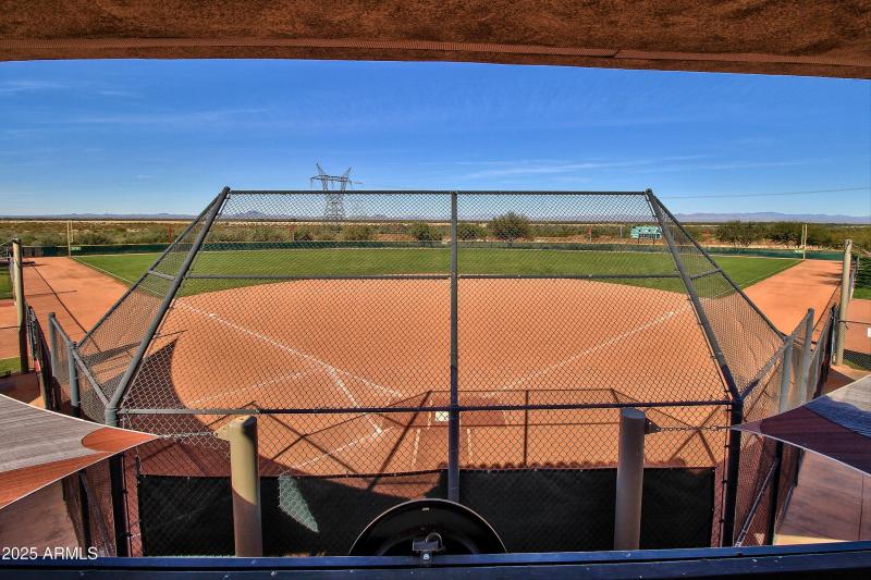 82-Sun City Festival - Sage (47)