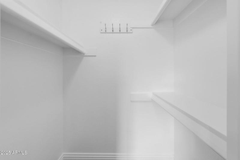 Walk-In Primary Closet