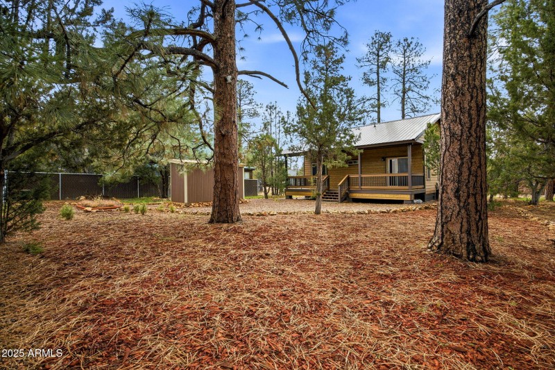 1979ChristmasPineCircle-HeberOvergaard-A