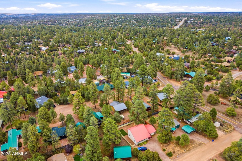 1979ChristmasPineCircle-HeberOvergaard-A