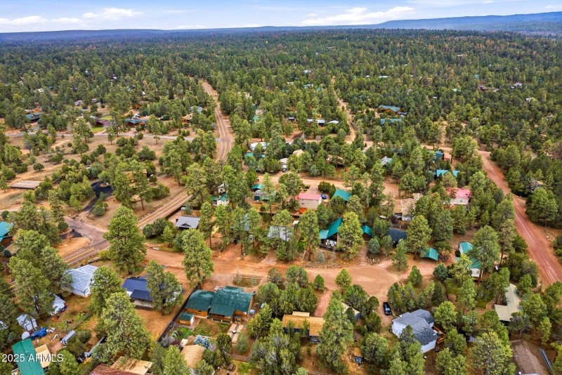 1979ChristmasPineCircle-HeberOvergaard-A