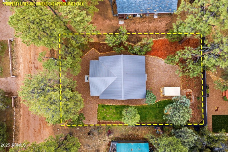 1979ChristmasPineCircle-HeberOvergaard-A