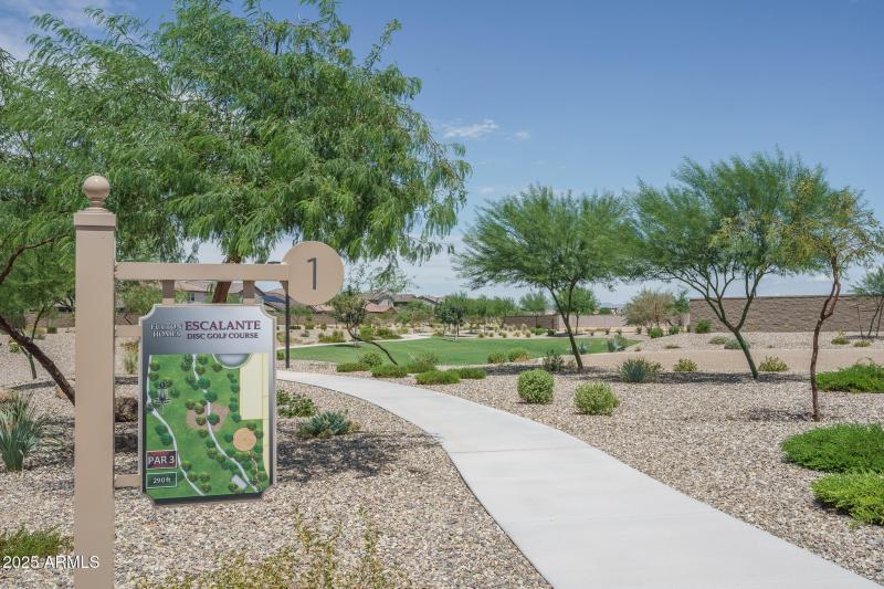 C4) DISC GOLF - Copy