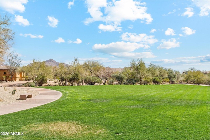 20250225215523748895000000-o