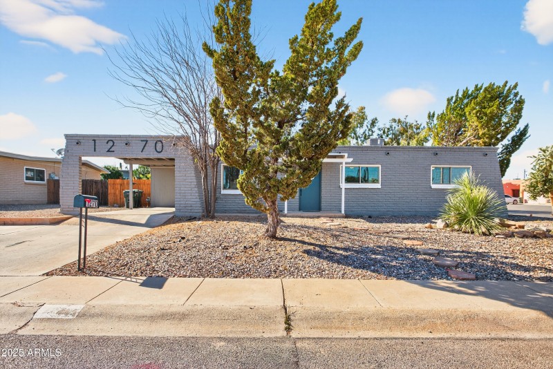 001_IMG_1230 - Copy - Copy - Copy