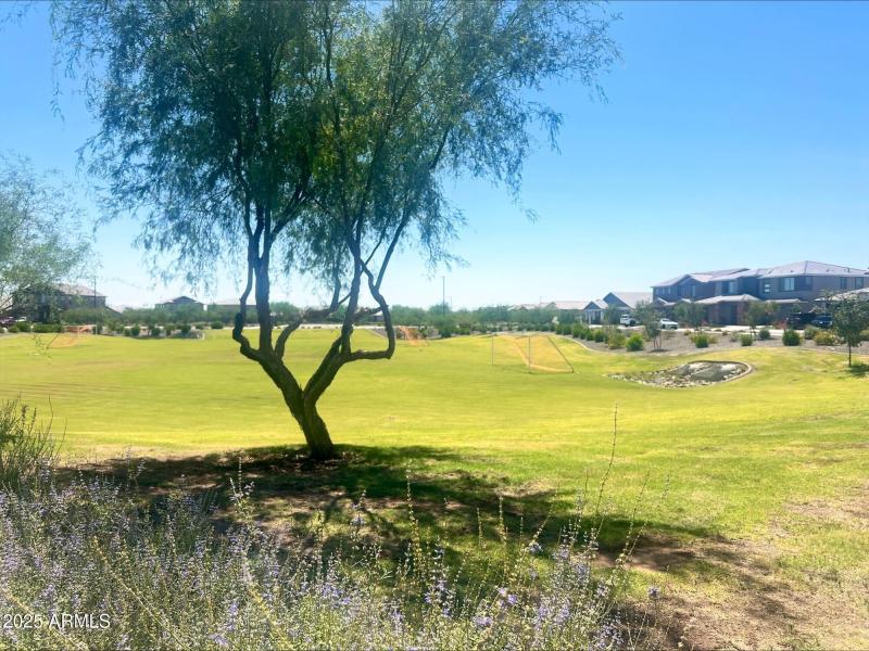 processed-FC068BB5-6B6E-41D2-ADE0-08B25A