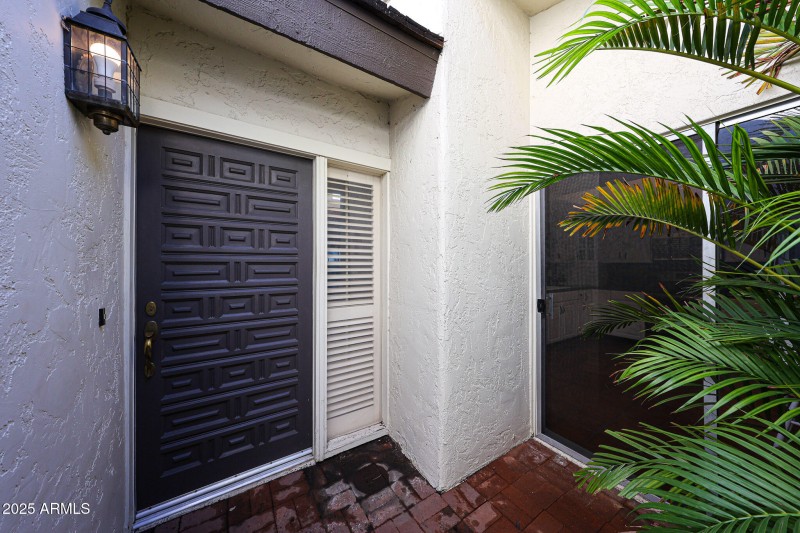 Chic 70s Wood Door !