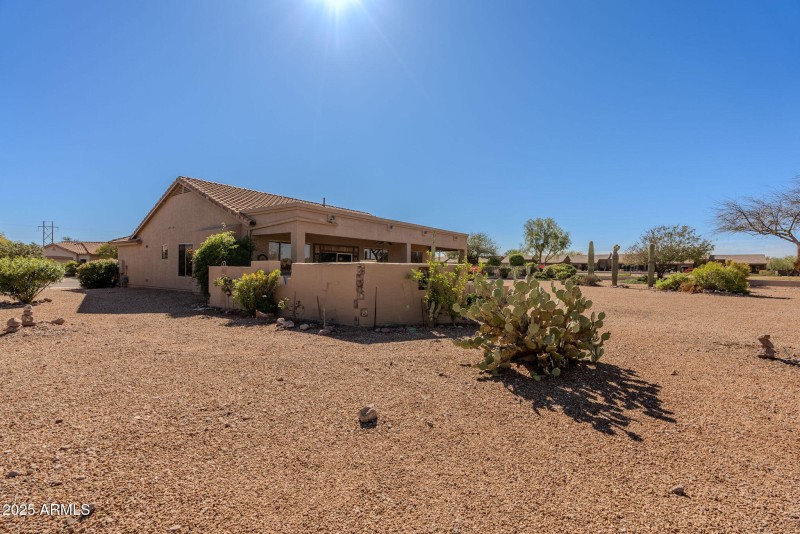 82-web-or-mls-Staghorn Cholla-82