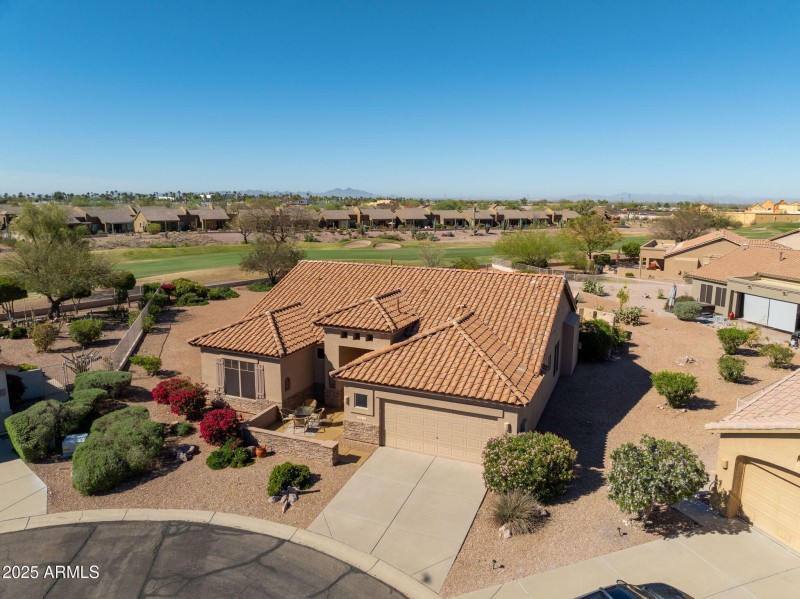 83-web-or-mls-Staghorn Cholla-83