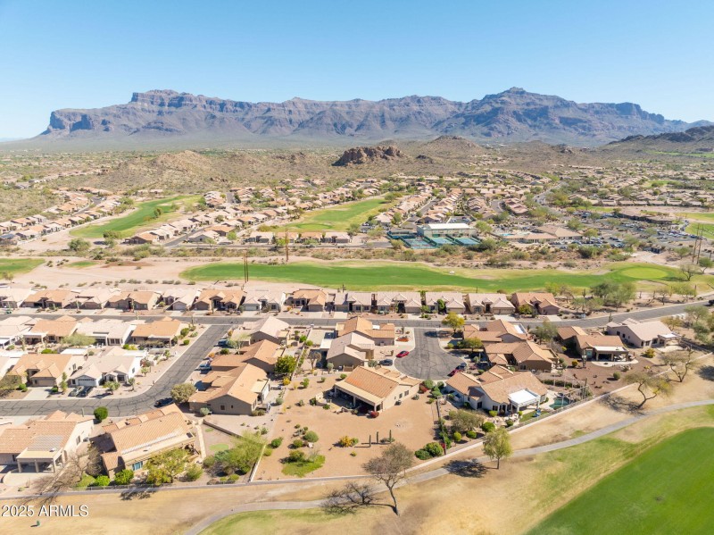 94-web-or-mls-Staghorn Cholla-94