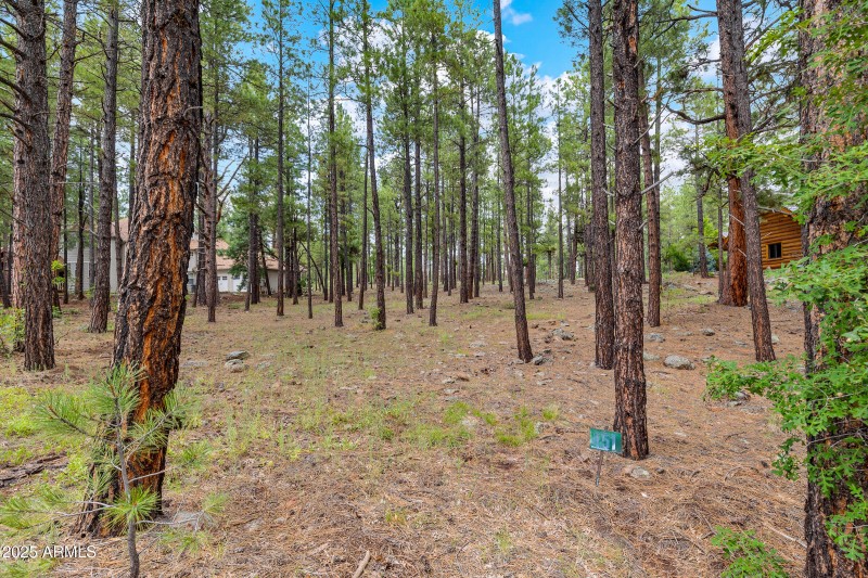 3781 Griffith Springs Lot-4