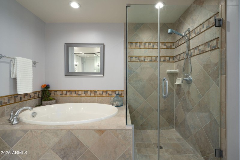 Owner's shower & tub