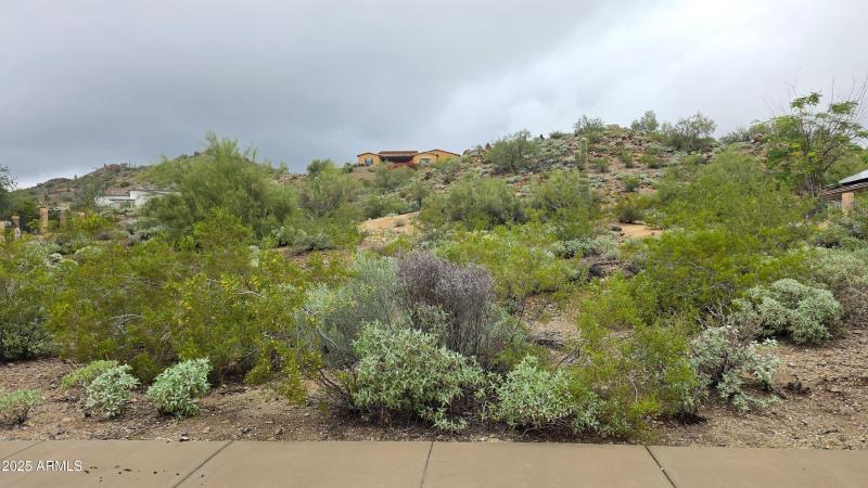 Molly green line 2.1