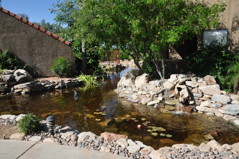 koi ponds 2