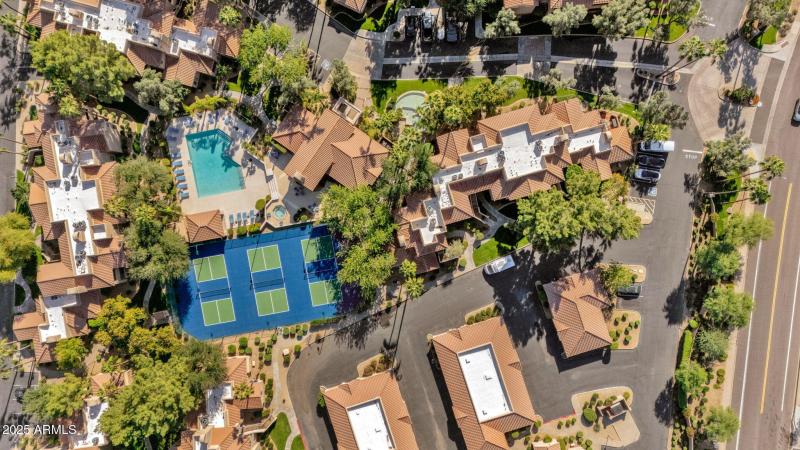 Just Off Arabian Trail