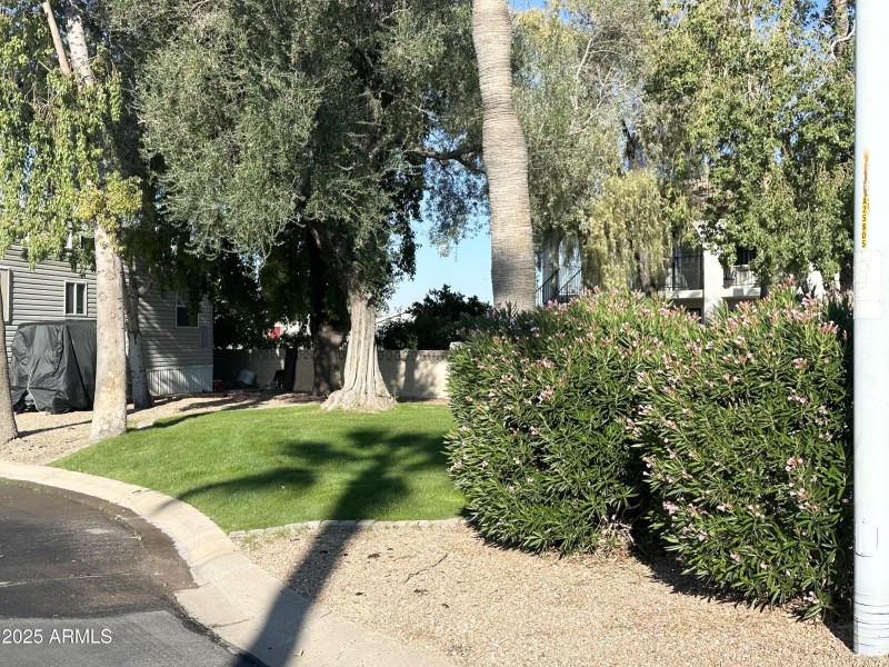 COMMON AREA ACROSS STREET