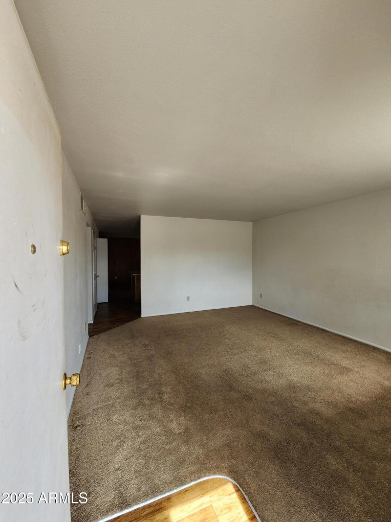 f-208-135-16594113_nhGiLwLu_3