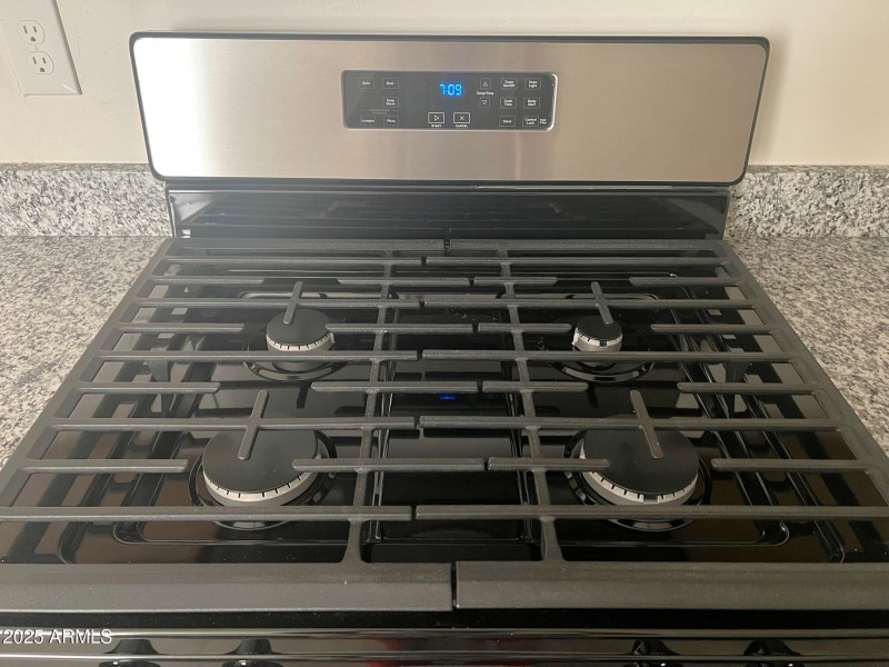 Gas oven
