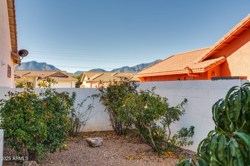 Beautiful Rosebushes