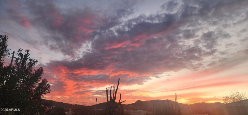 thumbnail_20250302_183527