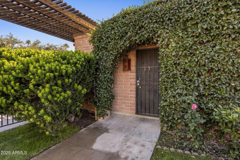 15-web-or-mls-D46A8577