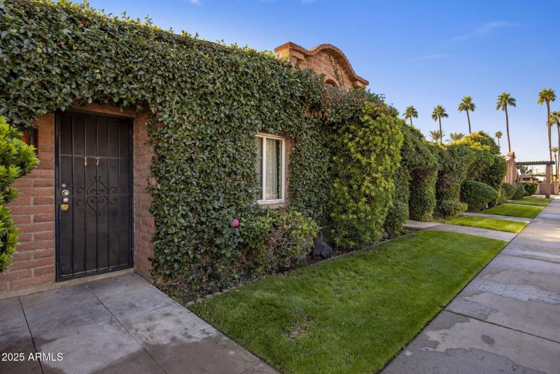 16-web-or-mls-D46A8587