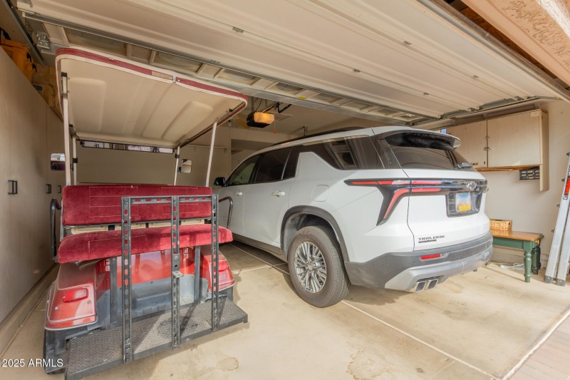 39 - Coopers Hawk 9342