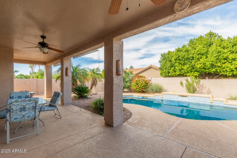 40 - Coopers Hawk 9342