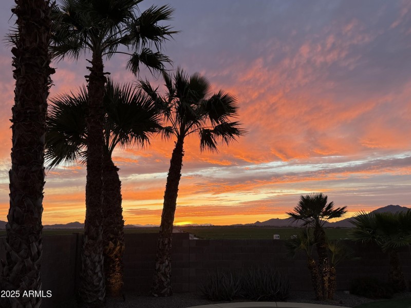 Seller Sunset Photos 2025