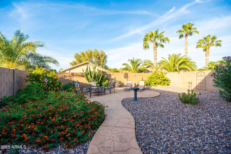 gorgeous backyard - low maintenance