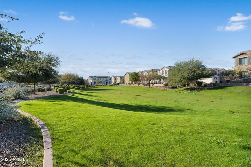 61-web-or-mls-DSC04556