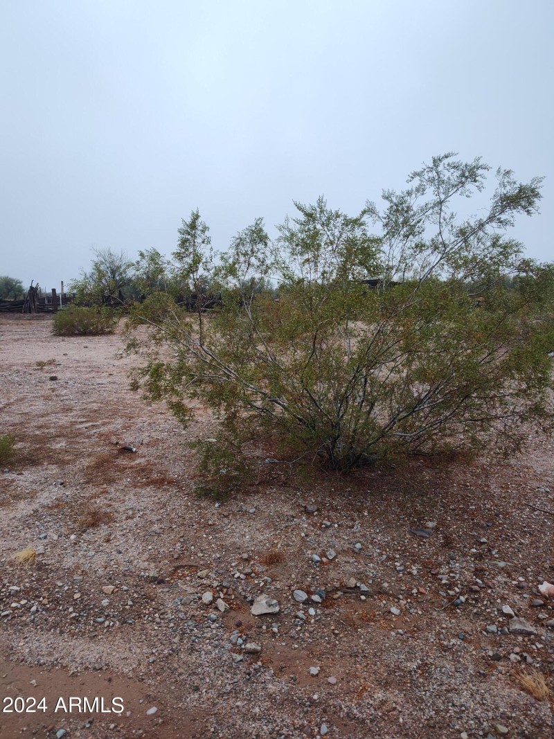 IMG_20221204_131640344